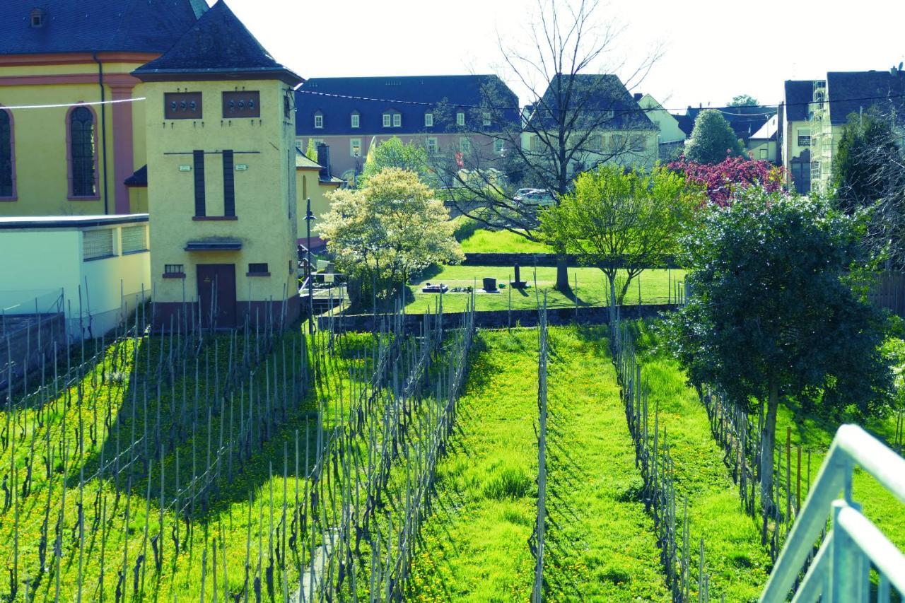 Luiza Fewo Trittenheim Exterior photo